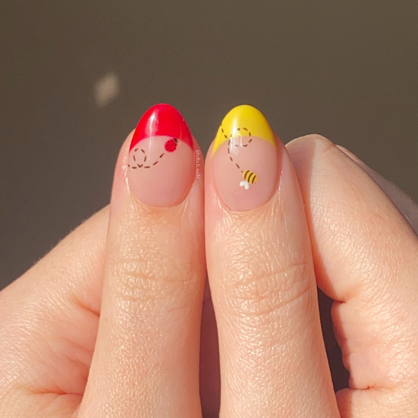 Ladybirds & Bees Set