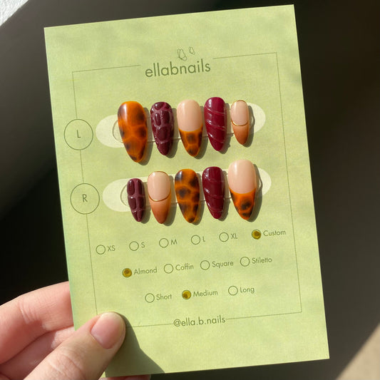 Autumnal Tortoise Shell Set